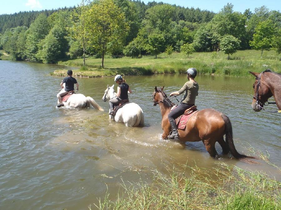 Le Relais Des Lacs Bourgogne Morvan Planchez Exteriör bild